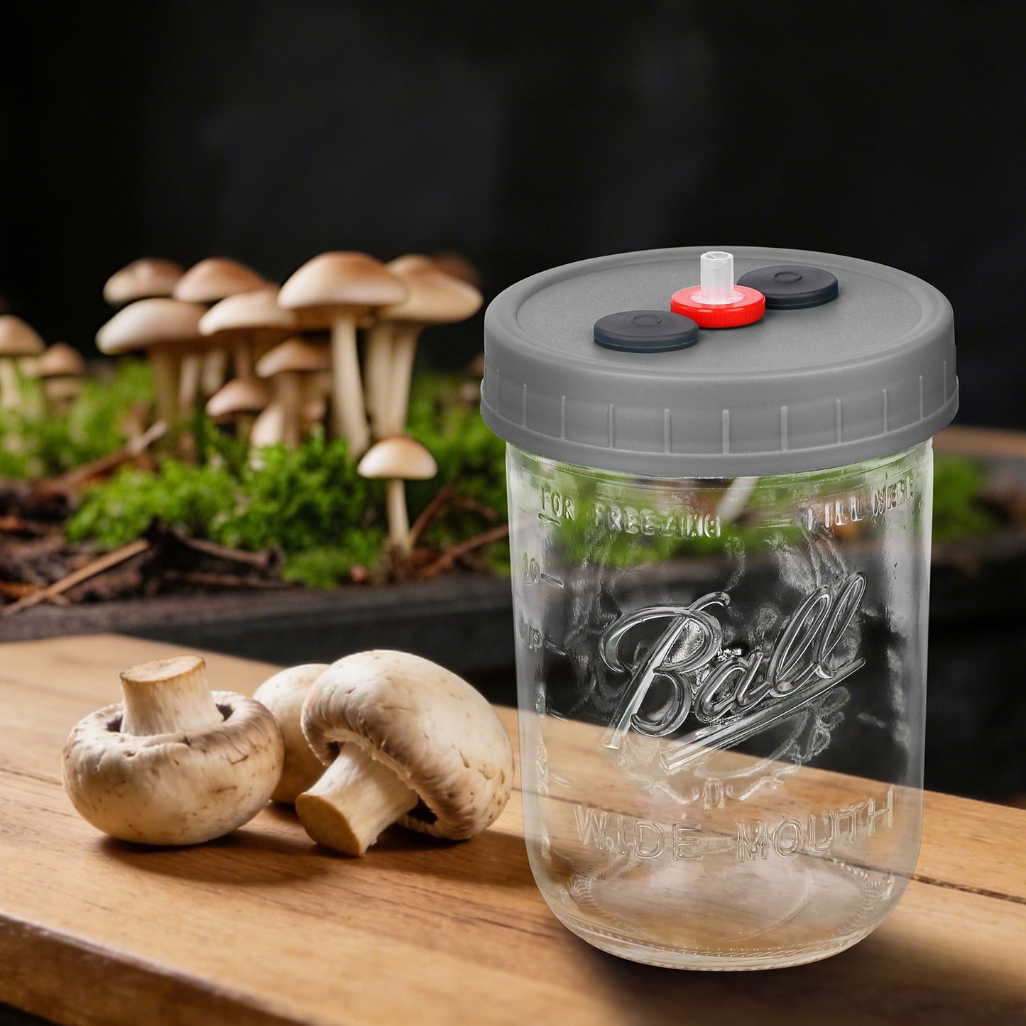 Mushroom Liquid Culture Jar with Self Healing Sealing Injection Port & Syringe Filter Port Mycology Supplies Mushroom Inoculation, Cultivation, Growing Kit 500 ML, 6PCS|PACK