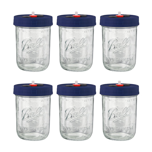 Mushroom Liquid Culture Jar with Self Healing Sealing Injection Port & Syringe Filter Port Mycology Supplies Mushroom Inoculation, Cultivation, Growing Kit 500 ML, 6PCS|PACK