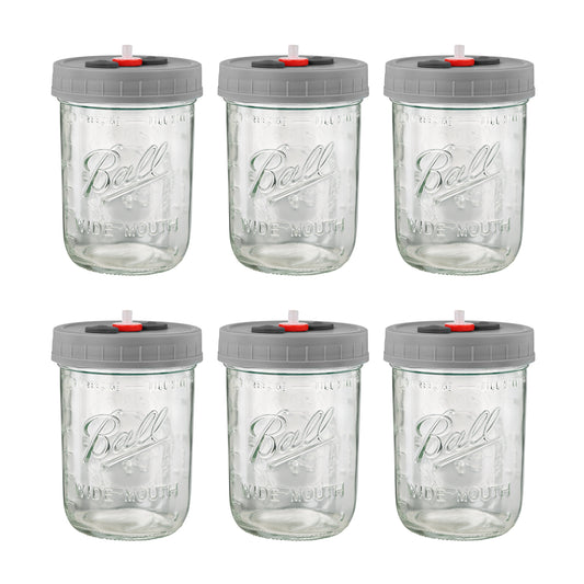Mushroom Liquid Culture Jar with Self Healing Sealing Injection Port & Syringe Filter Port Mycology Supplies Mushroom Inoculation, Cultivation, Growing Kit 500 ML, 6PCS|PACK