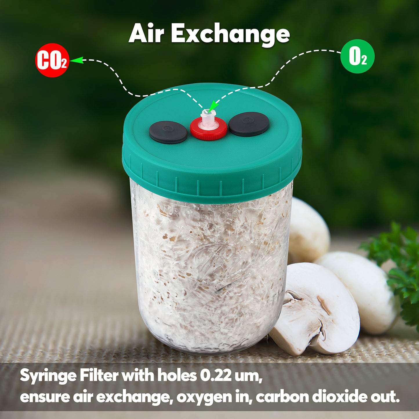 Mushroom Liquid Culture Jar with Self Healing Sealing Injection Port & Syringe Filter Port Mycology Supplies Mushroom Inoculation, Cultivation, Growing Kit 500 ML, 6PCS|PACK
