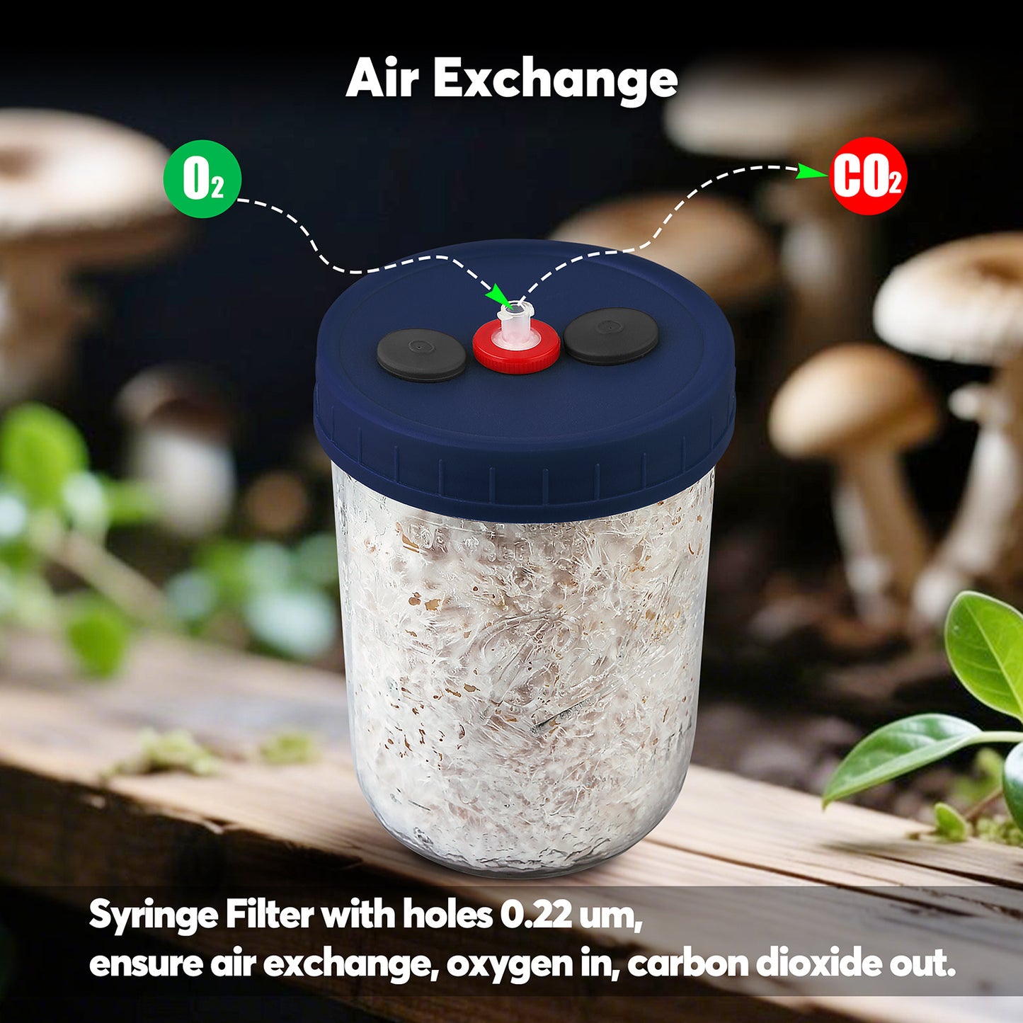 Mushroom Liquid Culture Jar with Self Healing Sealing Injection Port & Syringe Filter Port Mycology Supplies Mushroom Inoculation, Cultivation, Growing Kit 500 ML, 6PCS|PACK