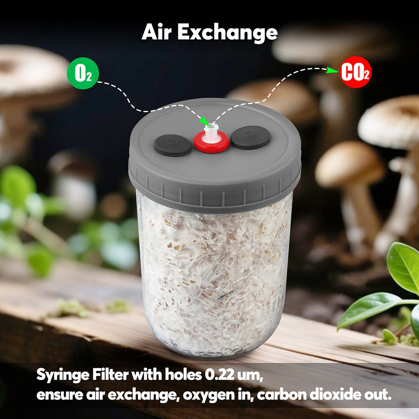 Mushroom Liquid Culture Jar with Self Healing Sealing Injection Port & Syringe Filter Port Mycology Supplies Mushroom Inoculation, Cultivation, Growing Kit 500 ML, 6PCS|PACK