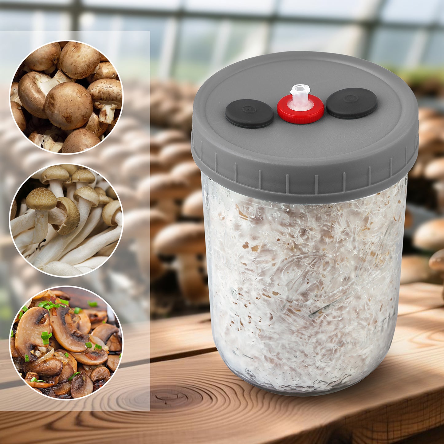 Mushroom Liquid Culture Jar with Self Healing Sealing Injection Port & Syringe Filter Port Mycology Supplies Mushroom Inoculation, Cultivation, Growing Kit 500 ML, 6PCS|PACK