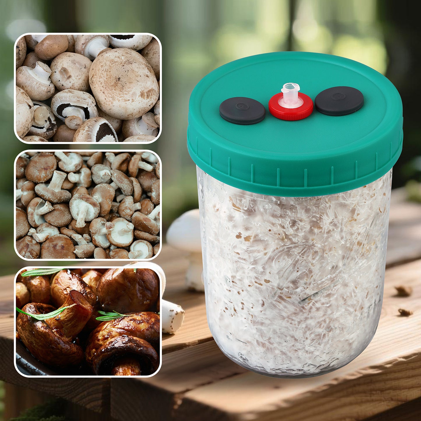 Mushroom Liquid Culture Jar with Self Healing Sealing Injection Port & Syringe Filter Port Mycology Supplies Mushroom Inoculation, Cultivation, Growing Kit 500 ML, 6PCS|PACK