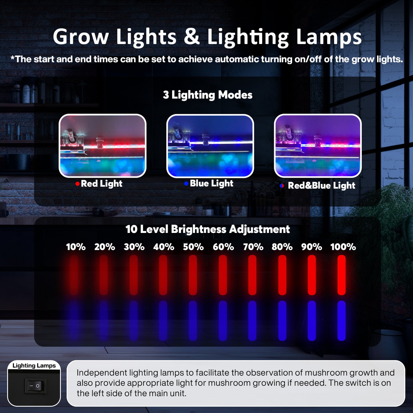 Smart Growing Box Fruting Chamber for Indoor Mushroom Cultivation Eco Box with Grow Lights & Lighting Lamps Temperature & Humidity Monitoring & Display Monotub Grow Kit with Automatic Humidification & Ventilation