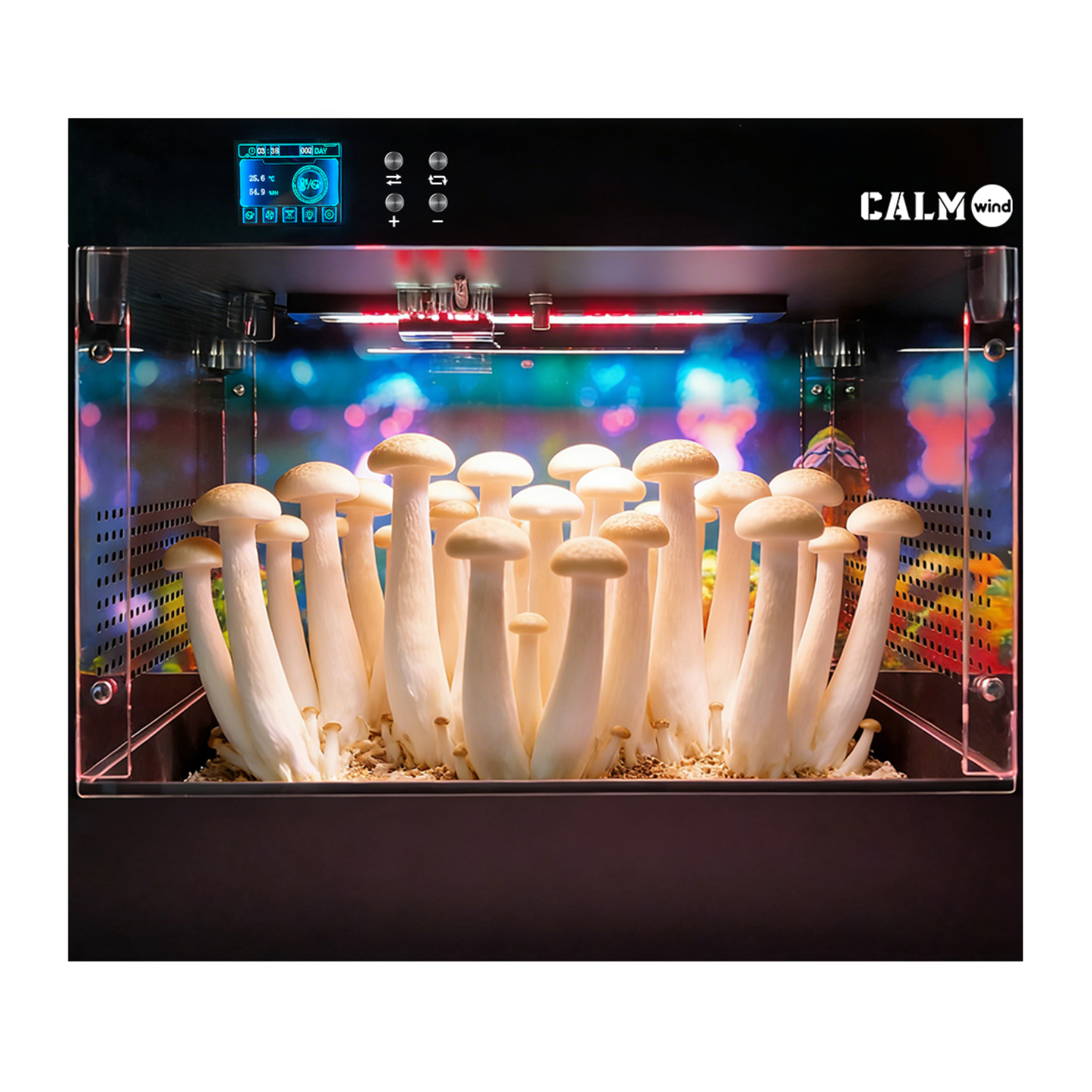 Smart Growing Box Fruting Chamber for Indoor Mushroom Cultivation Eco Box with Grow Lights & Lighting Lamps Temperature & Humidity Monitoring & Display Monotub Grow Kit with Automatic Humidification & Ventilation